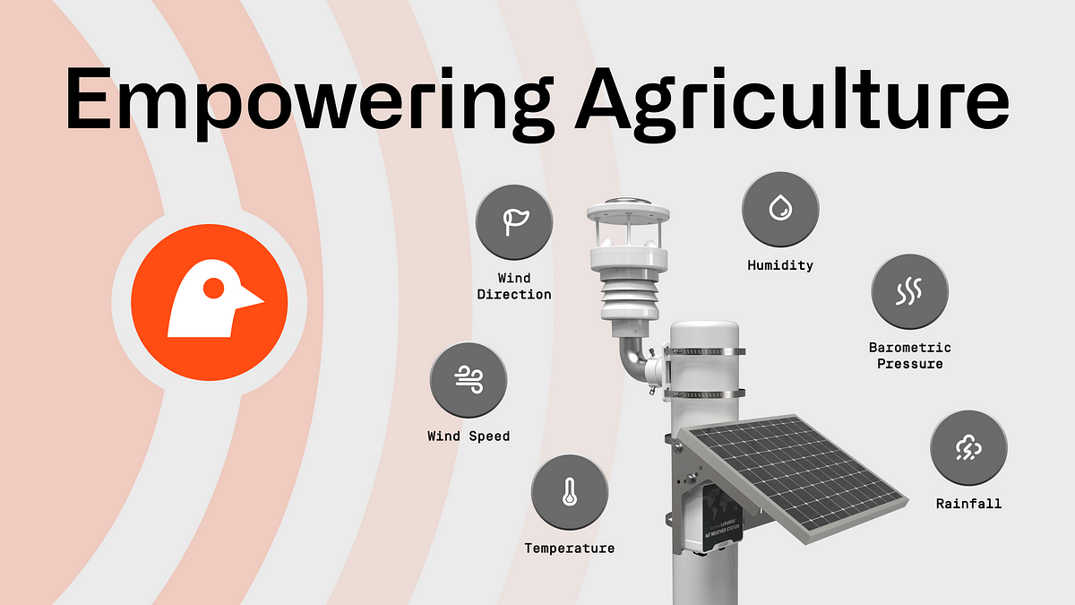 Revolutionizing Agriculture with IoT Technology cover