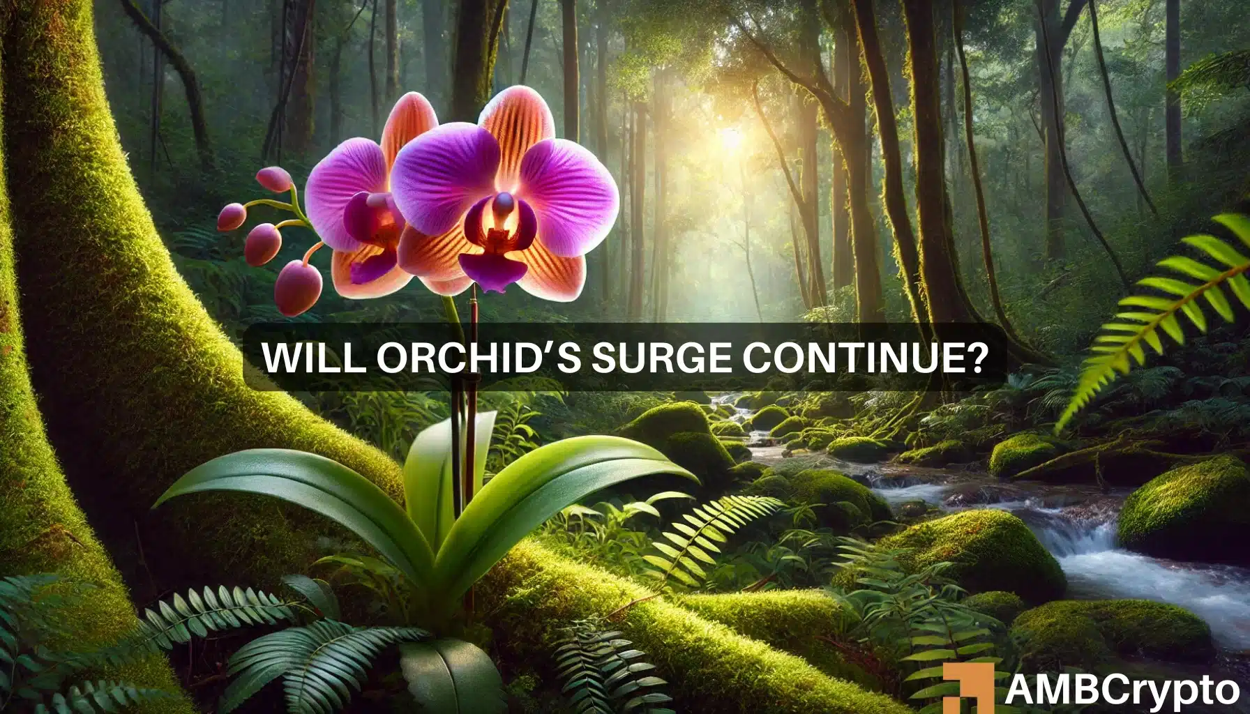 El volumen de comercio de Orchid (OXT) se dispara un 2500% en medio de una fuerte demanda cover